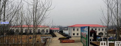 梁河县茶叶品牌 从原产地到市场，探秘茶叶产业链与茶具销售